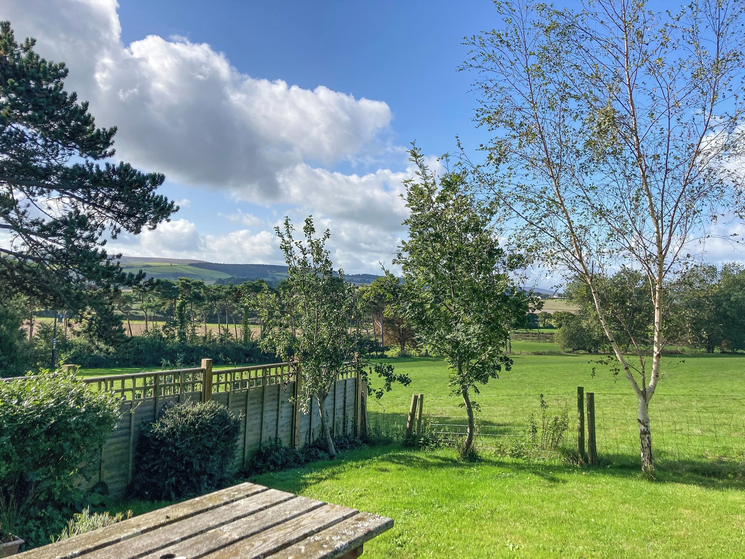 A wooden bench in a lush green garden with a wooden fence and trees.