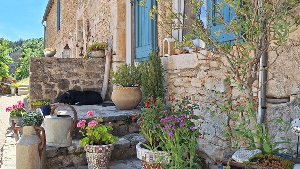 A stone building with blue shutters, potted plants, and a gravel pathway. - Gîte Philomène Dans Ancien Presbytère - 2 Pers - à St Georges de Lévéjac (Massegros Causses Gorges)