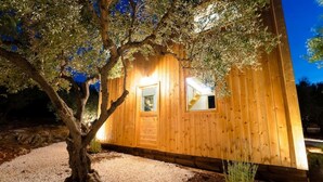A wooden cabin with a large tree in front, a gravel path, and a window with a view of the interior.