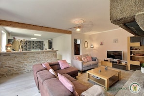 TV, fireplace, books