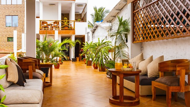 Un vaste espace intérieur doté d’un haut plafond, comprenant un coin salon central avec des canapés et des fauteuils, entouré de plantes en pot et agrémenté d’une table en bois sur laquelle est posé un panier de fruits.