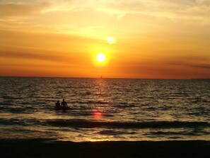 On the beach - New, Terrace Facing Pine Forest, 80 m Beach, AC, Heating, Wifi, Long Term Price (FOLLONICA)