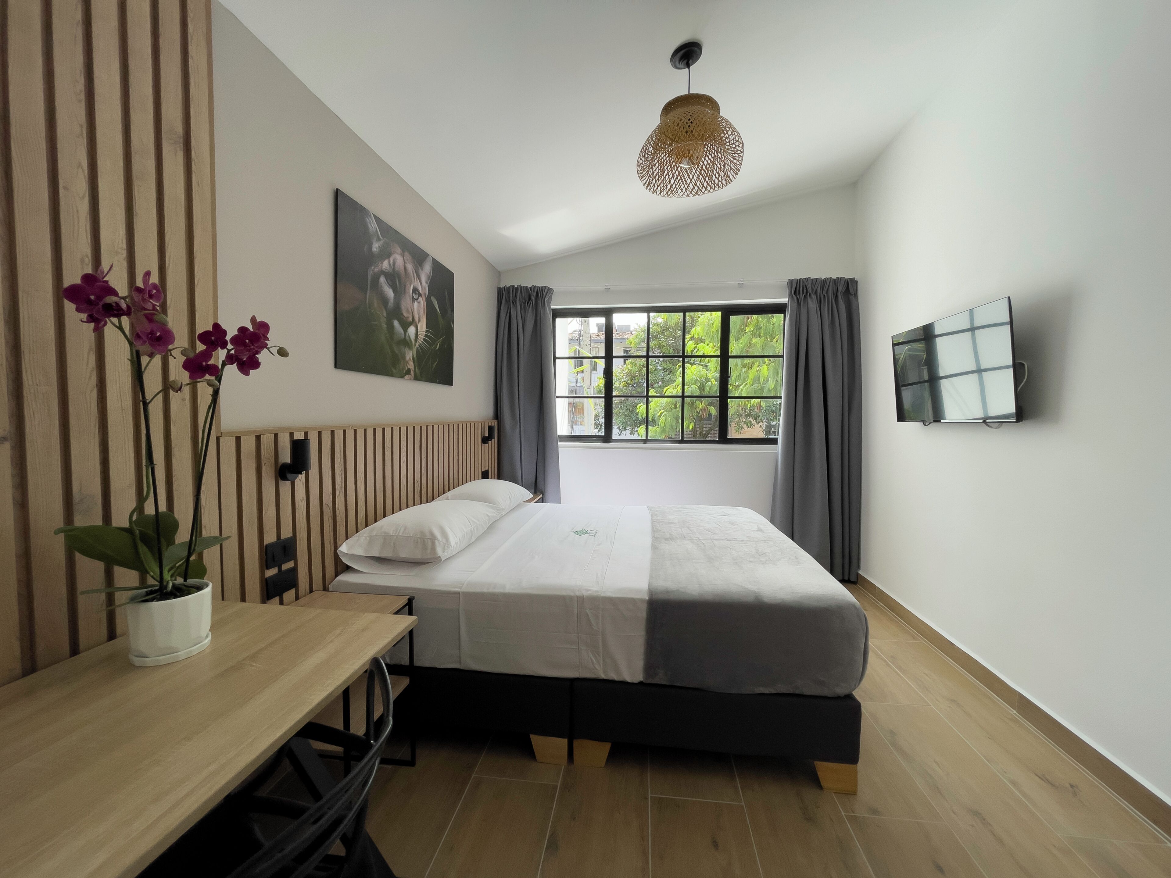 Ein modernes Schlafzimmer mit Bett, Schreibtisch, Topfpflanze, Gemälde, einem Fenster mit Vorhängen und einem an der Wand befestigten Fernseher.