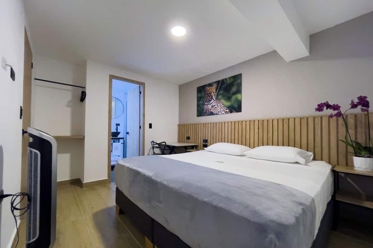 Comfort Double or Twin Room