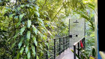 Un sendero de madera que atraviesa un exuberante jardín, con un cartel y un jarrón.