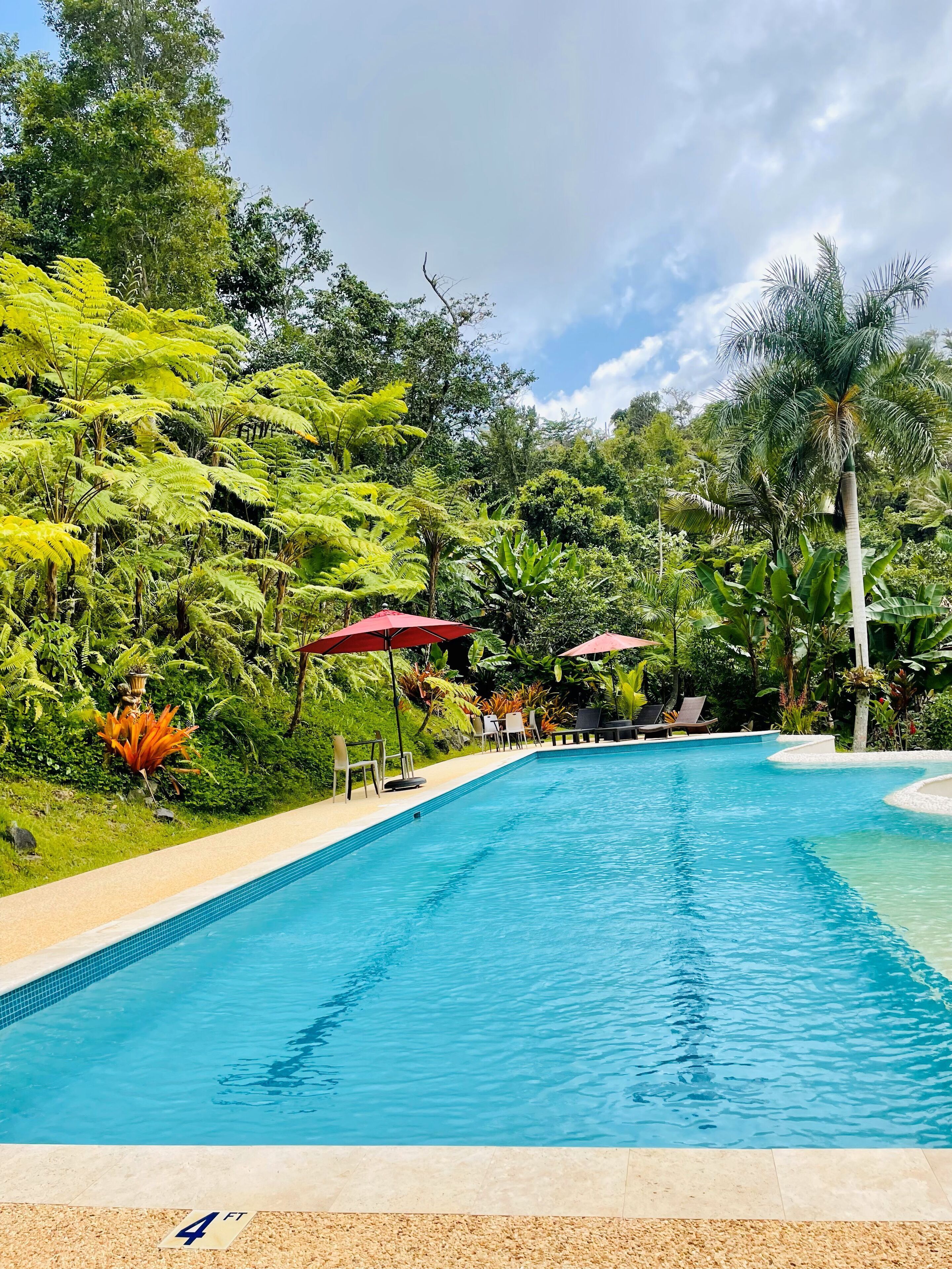 Outdoor pool, pool umbrellas, pool loungers