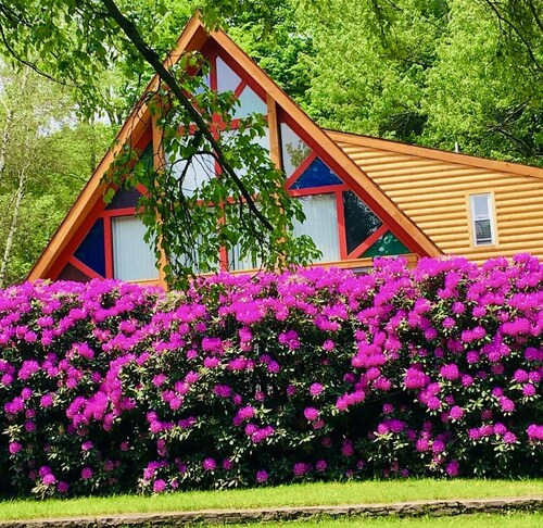 Log House by the Lake - One of a Kind Property