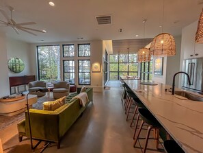 Smart TV, fireplace, books, stereo - The Birch Bower: Luxury Lakefront Home (Oakland)