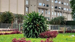 Un edificio de varios pisos con fachada uniforme, rodeado por un jardín cuidado con arbustos variados y un pequeño elemento acuático.