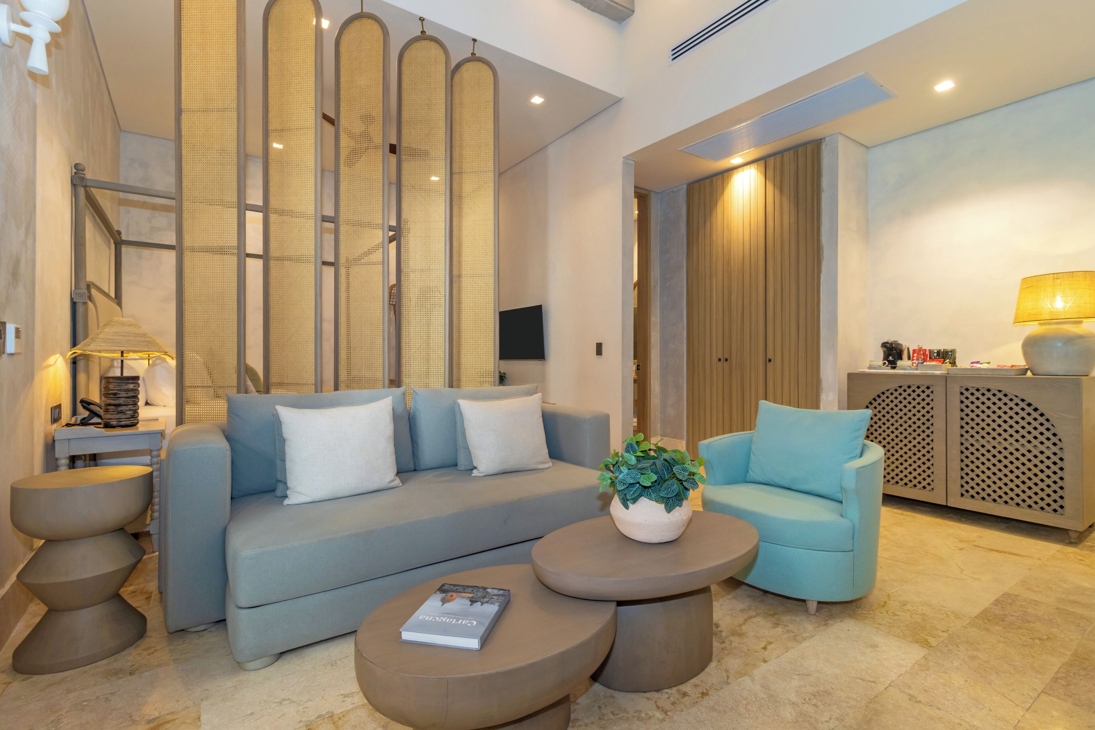 A modern living room with a sofa, two side chairs, a coffee table, a decorative plant, and a television.