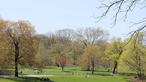 A park with open grassy areas, trees, and people engaging in various activities. - Centralized apt in Park Slope near the park and the city (Brooklyn)