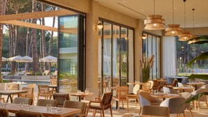 A spacious outdoor dining area with wicker furniture and large windows offering views of a pool and trees.