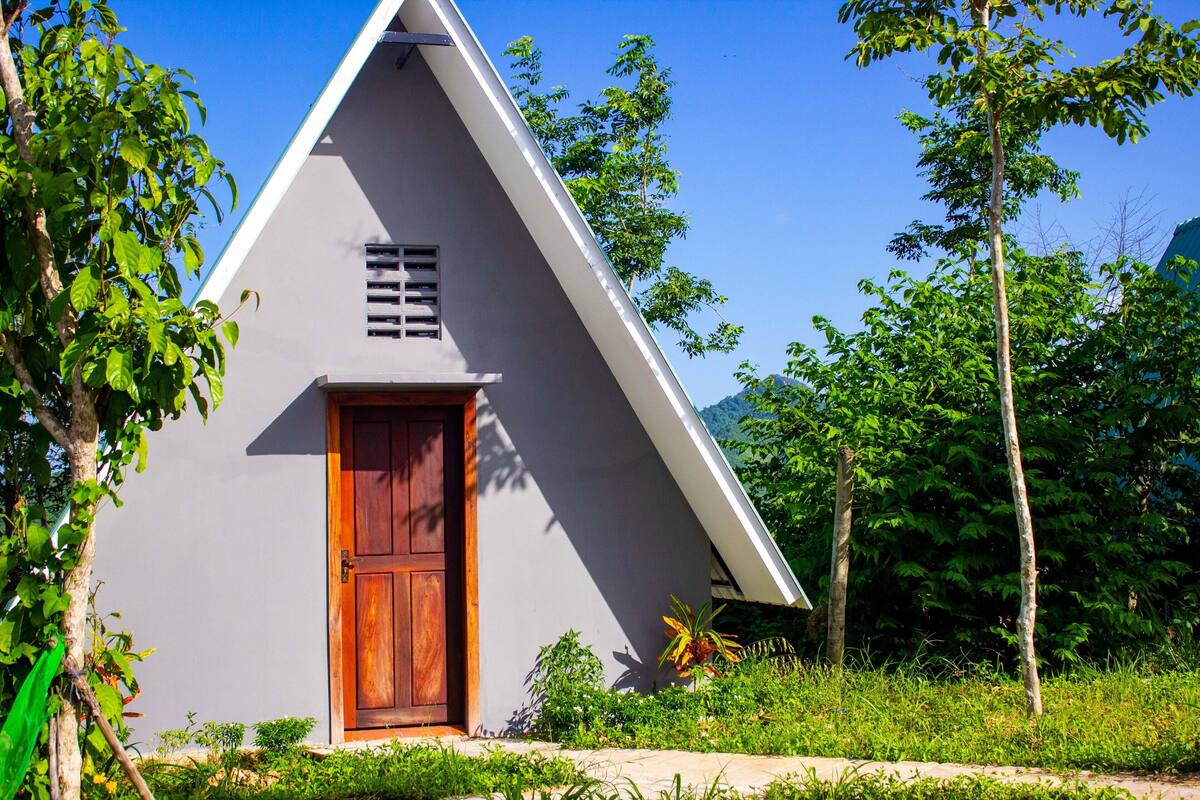 A small, modern house with a triangular roof, a wooden door, and a small window.