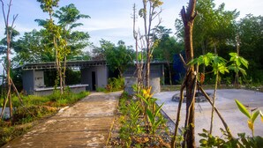 A pathway leading to a building with a small entrance, surrounded by greenery and trees. - Sabay Farm (Kampot)