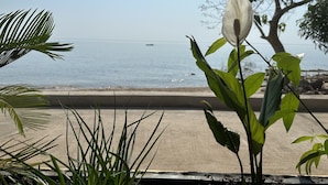 A view of a coastal road with a white flower in the foreground and a tree in the background. - Ndau Lodge (Nkhata Bay)
