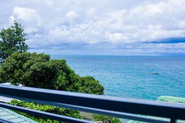 Panoramic Room | Balcony