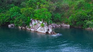 A rocky island with lush greenery in a river surrounded by dense forest. - Ndau Lodge (Nkhata Bay)