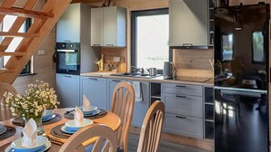 A modern kitchen with a black refrigerator, a built-in oven, and a window overlooking a garden. - Stunning home in Jaromierz with sauna (Jaromierz)