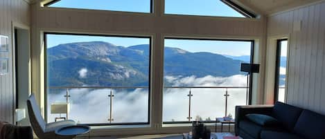 Smart TV, fireplace, DVD player, books