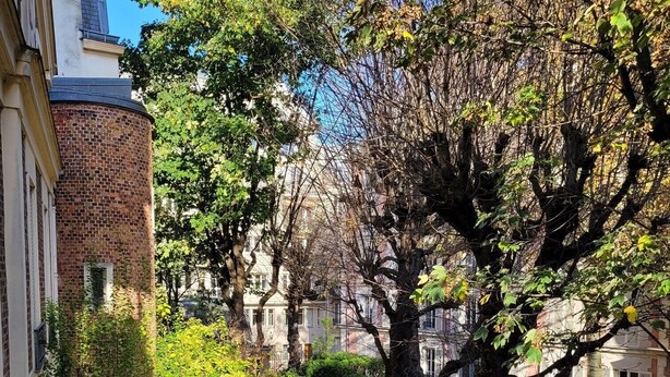 Une cour int érieure avec une structure en briques, un arbre et un espace de repos abrité.