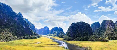 A river running through a lush valley with dense forests on either side.