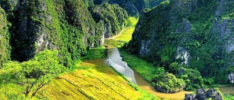 A river flowing through a lush valley with terraced fields and dense greenery.