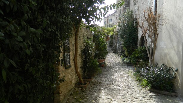 A narrow cobblestone alley flanked by stone walls and lush greenery, with potted plants and a small sign on the left wall. - House of the Olive Grove (Narni Sotterranea with free parking) (Narni Scalo)