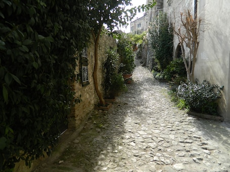 Parco della struttura. Casa dell'Oliveto (Narni Sotterranea con parcheggio gratuito)