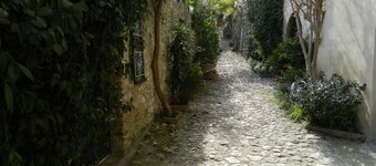 House of the Olive Grove (Narni Sotterranea with free parking)