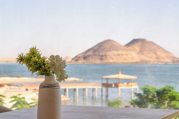 Terraza en la azotea