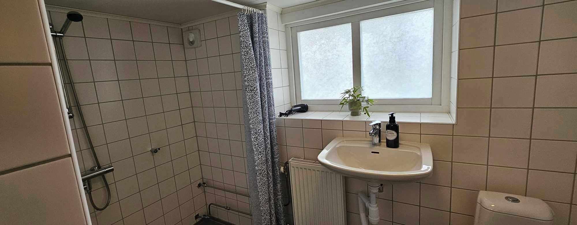A small bathroom with a shower, a sink, a window, and a radiator.