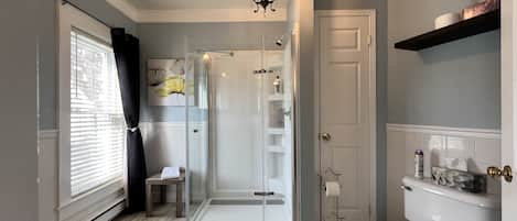 A bathroom with a glass-enclosed shower, a toilet, and a shelf with toiletries.