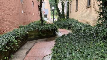 Jardines del alojamiento