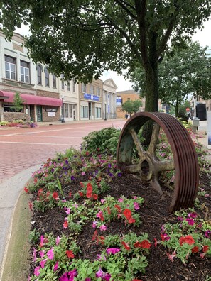 Terrein van de accommodatie