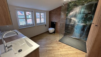 Dusche, Haartrockner, Handtücher, Toilettenpapier