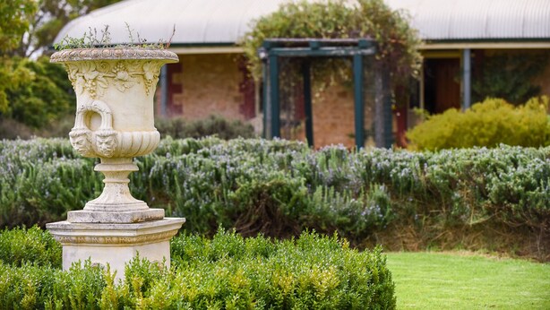 A garden with a decorative urn and neatly trimmed hedges. - Vineyard Suite for a couple in Historical Homestead, relax on family winery.  (Langhorne Creek)