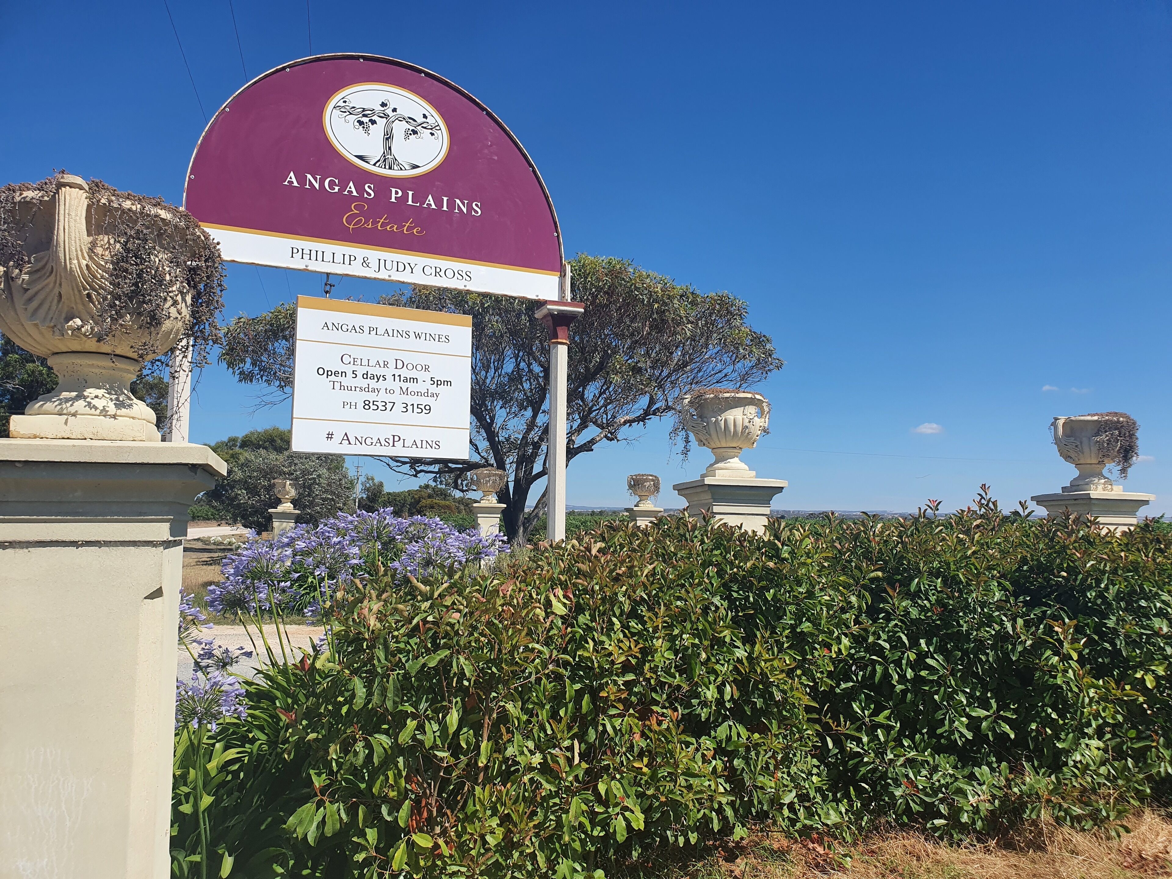 Schild für Angas Plains Estate mit Weinkelleröffnung sechs Tage die Woche, Kontaktdaten und Standortinformationen.