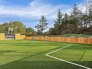 A well-maintained artificial turf sports field with a basketball hoop, surrounded by a wooden fence and trees. - 5 Star Holiday Home in Romo (Rømø)