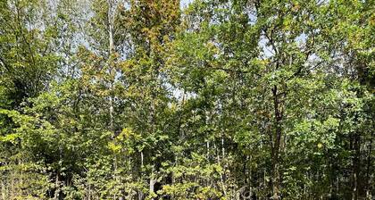 Komplett neu renoviertes Apartment in einer idyllischen Waldsiedlung