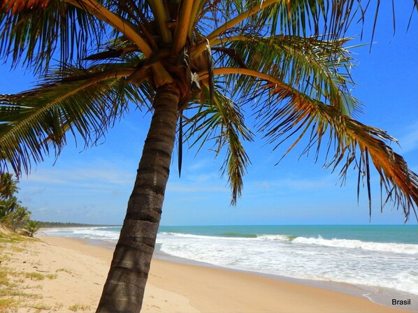 Espreguiçadeiras, toalhas de praia 