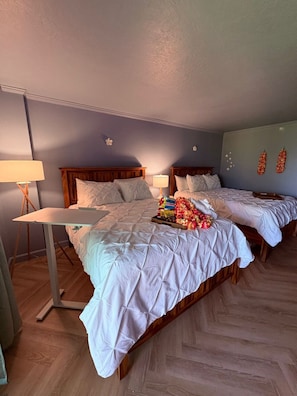1 chambre, bureau, fer et planche Ă repasser, lit parapluie