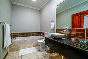 Hair dryer, towels, soap, shampoo - Tranquil bed and breakfast in the heart of Sandton  (Sandton)