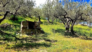 Aussenbereich