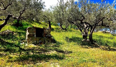 I 3 falchi Bed & Breakfast