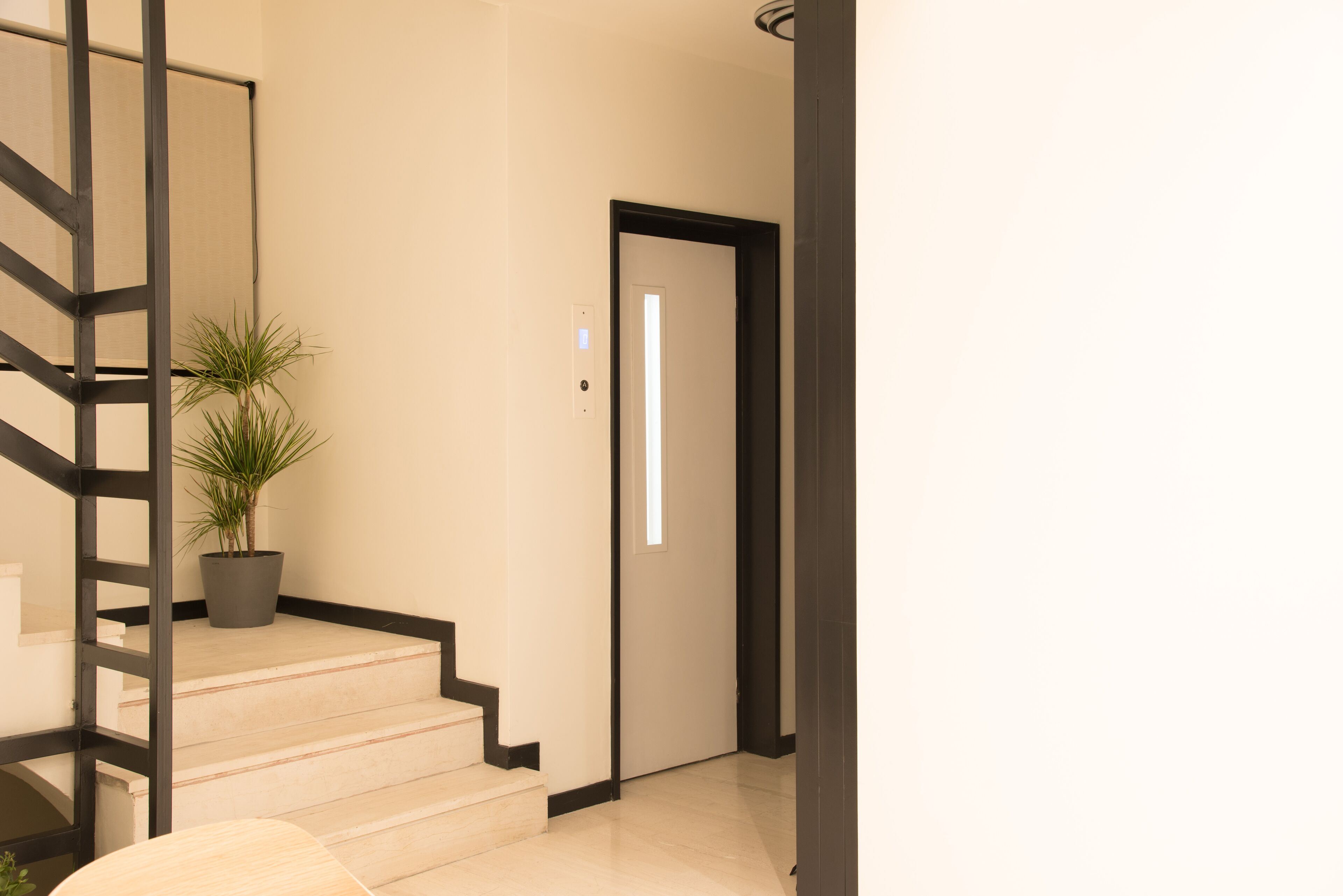 A staircase with a potted plant, a door with a light switch, and a modern interior design.