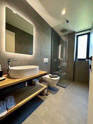 Shower, hydromassage showerhead, designer toiletries, hair dryer