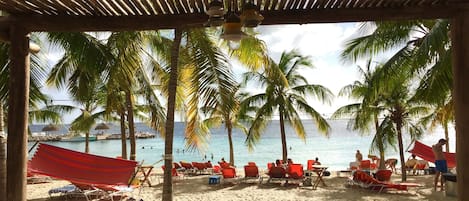 Una playa con palmeras, una piscina y sillas de descanso rojas.