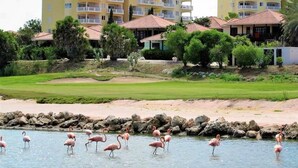 A coastal hotel with multiple balconies, a golf course, and flamingos by the water. - Blue Bay Beach Apartments (Sint Michiel)