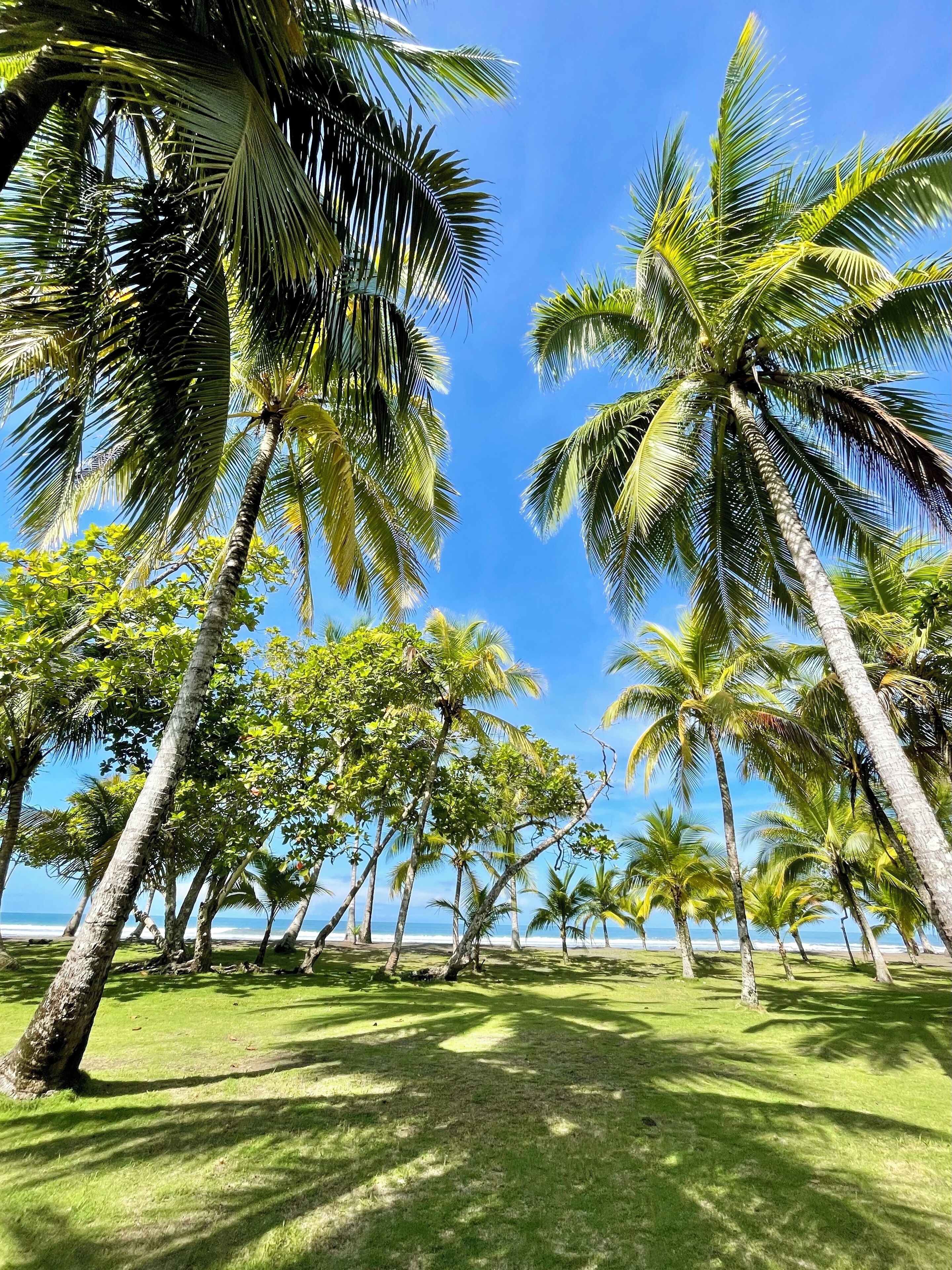 Front yard, view from pool deck, bedrooms, outdoor living space