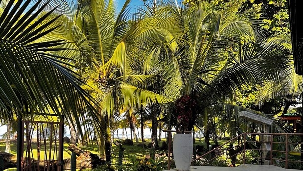 A pool area with a clear view of the surrounding lush greenery and a stone pathway leading to a white structure. - BEACHFRONTGEM- owner’s villa-expansive endless beach. Amazing Sept Oct discounts (Savegre)